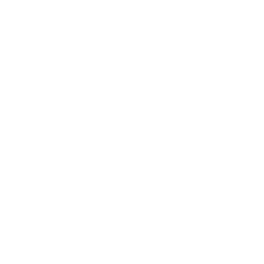 Birdies logo